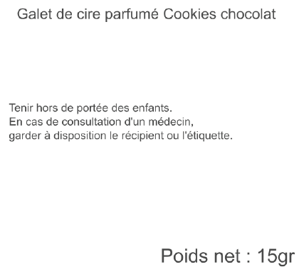 galet cookies chocolat ugo 15gr